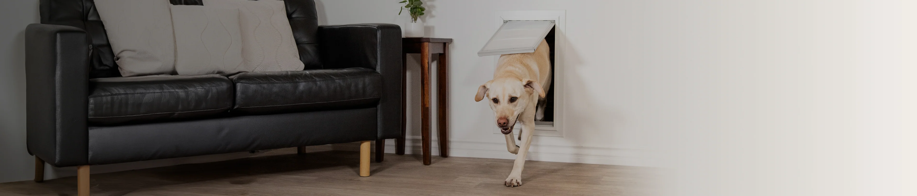 Premium Pet Access Made Simple